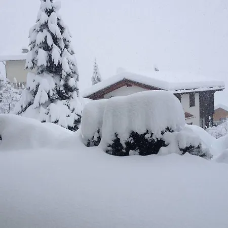 Apartment Plauncas Acletta